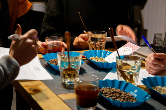 CORDE COFFEE Sensory Skills: Coffee Cupping Course